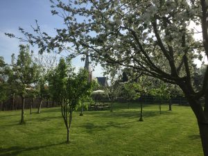 boomgaard Geervliet hoenderhok